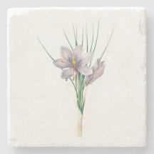 Flores: A007 Autumn Crocus -