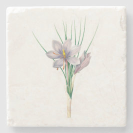 Porta-copo De Pedra Flores: A007 Autumn Crocus -