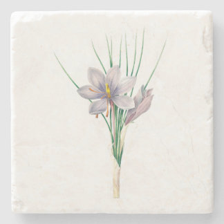 Porta-copo De Pedra Flores: A007 Autumn Crocus -