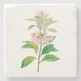 Porta-copo De Pedra Flores: A013 Red Enkianthus -