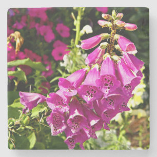 Porta-copo De Pedra Flores cor-de-rosa
