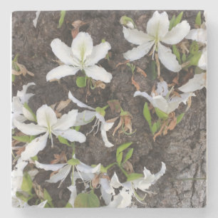 Porta-copo De Pedra Flores de árvore