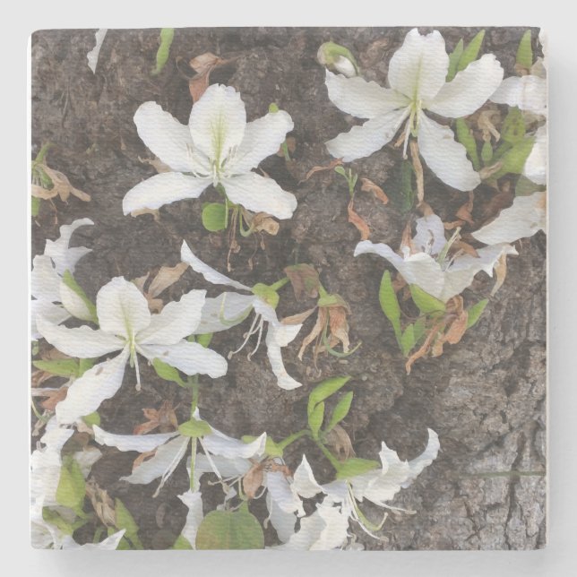 Porta-copo De Pedra Flores de árvore (Frente)