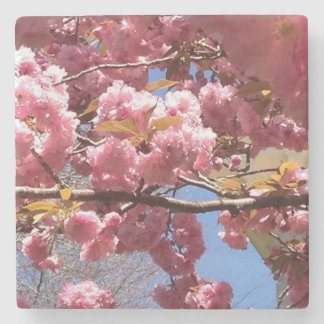 Porta-copo De Pedra Flores de maçã em Primavera - Ramificação rosa e b