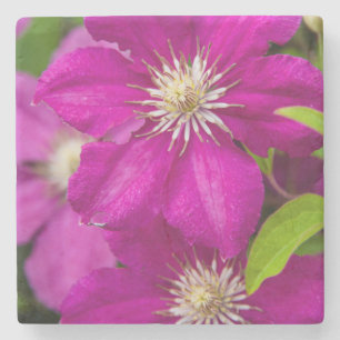 Porta-copo De Pedra Flores no Robinette's Apple Haus e Gift Barn 2
