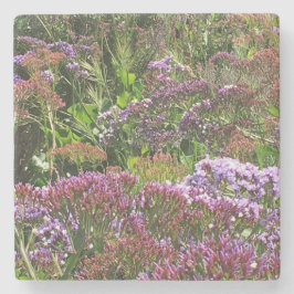 Porta-copo De Pedra Flores selvagens, La Jolla Cove, CA