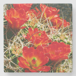 Porta-copo De Pedra Flores Silvestres de Cactus do Cálice de Clarete
