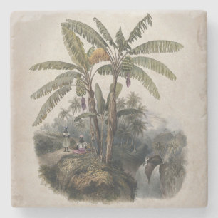 Porta-copo De Pedra Floresta Tropical Antiquada de Banana   Vintage Bo