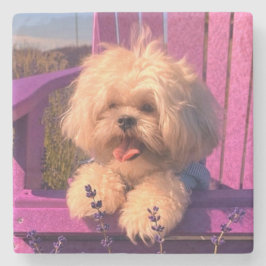 Porta-copo De Pedra Fluffy Cute Shih Tzu Toy Puppy, Happy Dog Sitting