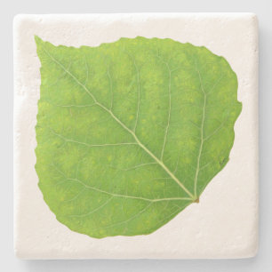 Porta-copo De Pedra Folha Verde Aspen #11