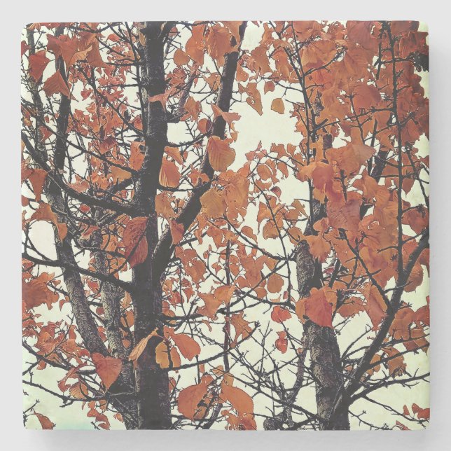 Porta-copo De Pedra Folhas de laranja (Frente)