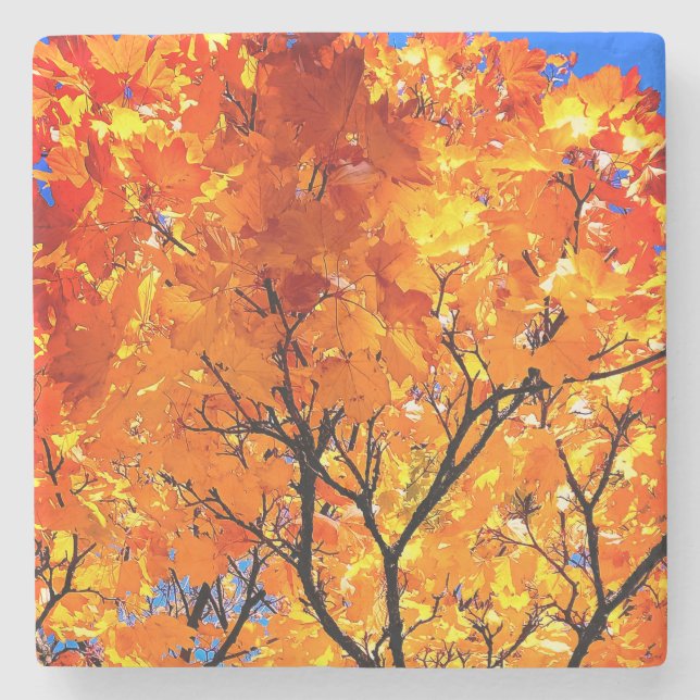 Porta-copo De Pedra Folhas de laranja (Frente)