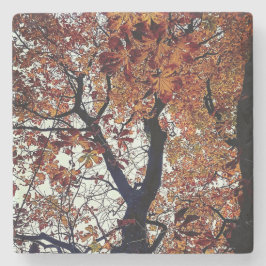 Porta-copo De Pedra Folhas de ouro