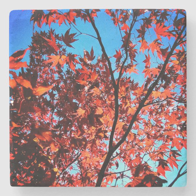 Porta-copo De Pedra Folhas de outono (Frente)