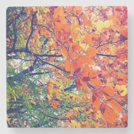 Porta-copo De Pedra Folhas laranja e verde