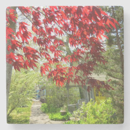 Porta-copo De Pedra Folhas Vermelhas e Caminho de Martha