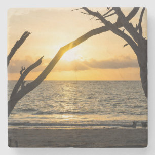 Porta-copo De Pedra Folly Sunrise Tree Silhouette