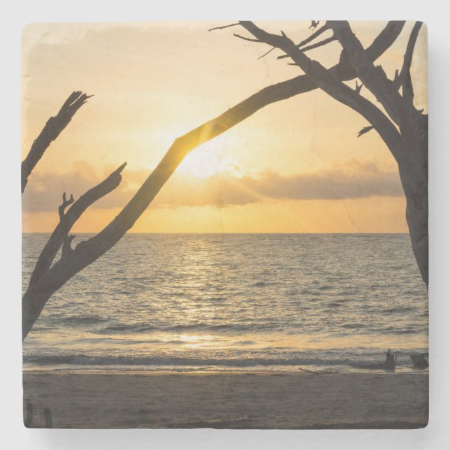 Porta-copo De Pedra Folly Sunrise Tree Silhouette (Frente)