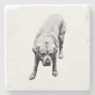 Porta-copo De Pedra Força Posta