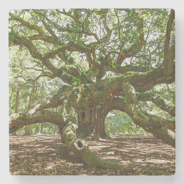 Porta-copo De Pedra Forte E Negrito (Frente)