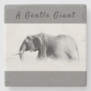 Porta-copo De Pedra Foto de alta chave Gentle Giant Elephant com texto
