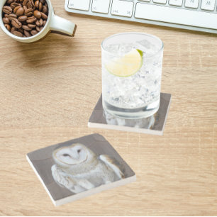 Porta-copo De Pedra Foto do Raptor Barn Owl