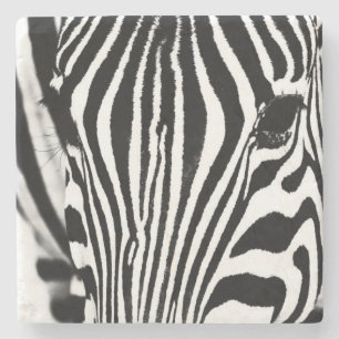 Porta-copo De Pedra Foto em preto e branco do retrato zebra
