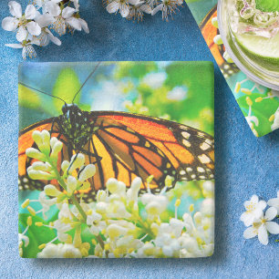 Porta-copo De Pedra Fotografia da Flor Branca com Borboleta Laranja Mo