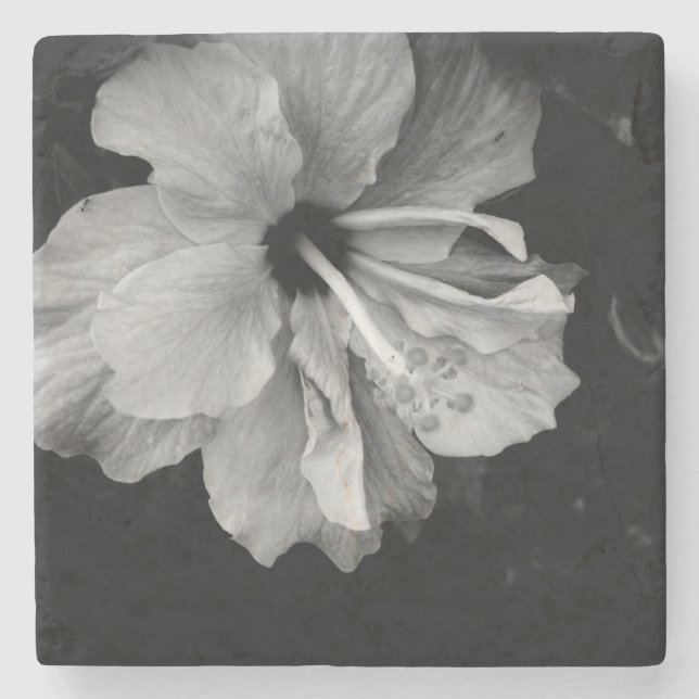 Porta-copo De Pedra Fotografia de Flor de Hibisco (Frente)