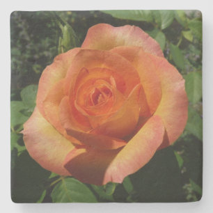 Porta-copo De Pedra Fotografia Floral Laranja Peach Rosa