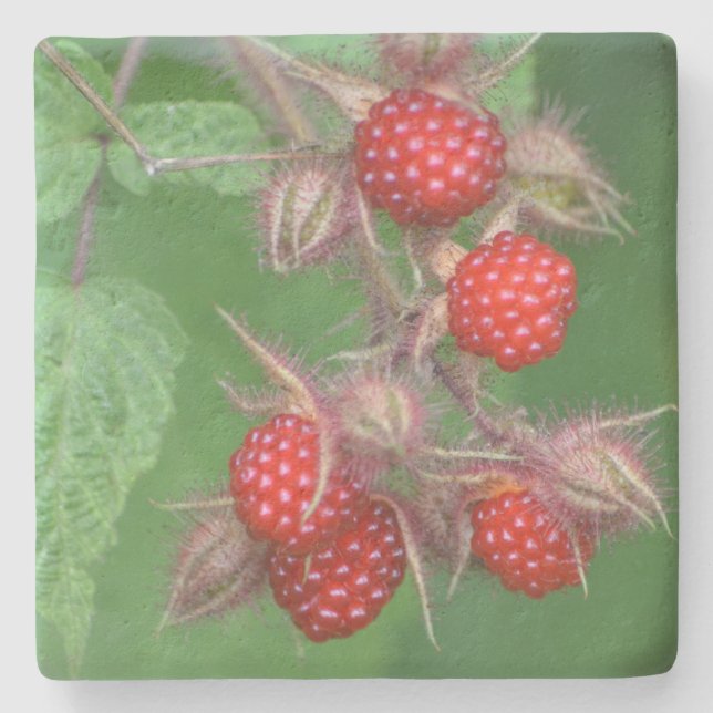 Porta-copo De Pedra Framboesa Lusciosa (Frente)