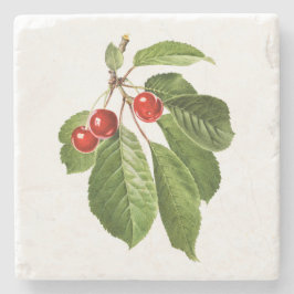 Porta-copo De Pedra Frutas: A015 Cherry -