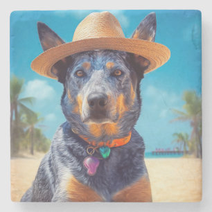 Porta-copo De Pedra Gado de raça Australian Cattle na Praia, presente 