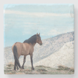 Porta-copo De Pedra Garanhão Mustang Selvagem