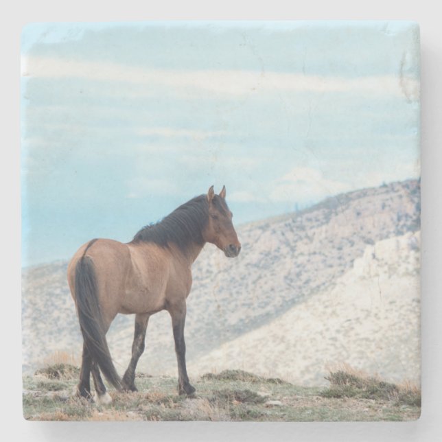 Porta-copo De Pedra Garanhão Mustang Selvagem (Frente)