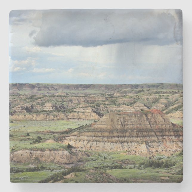 Porta-copo De Pedra Garganta pintada no ermo de North Dakota (Frente)