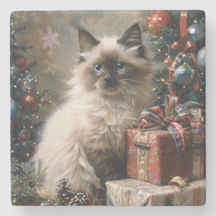 Porta-copo De Pedra Gatinho Balinês, Gatinho, Natal, Retrato