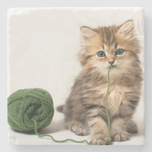 Porta-copo De Pedra Gatinho com fio verde