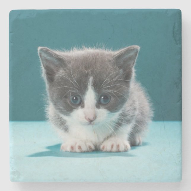 Porta-copo De Pedra Gatinho pequeno (Frente)
