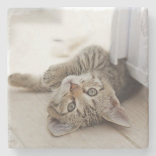 Porta-copo De Pedra Gatinho pequeno bonito