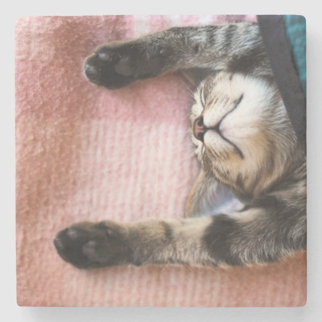 Porta-copo De Pedra Gatinho Snoozing (Frente)