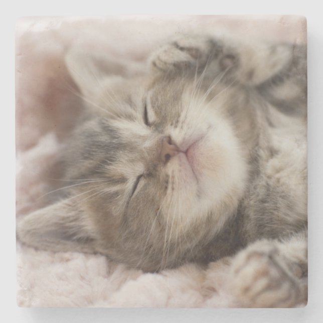 Porta-copo De Pedra Gatinho sonolento (Frente)