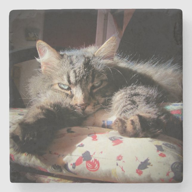Porta-copo De Pedra Gato Anjo Grumpy é Suspeito (Frente)