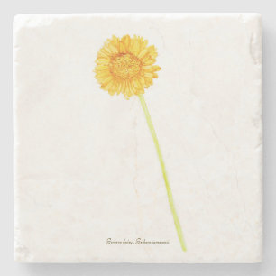 Porta-copo De Pedra Gerbera Daisy