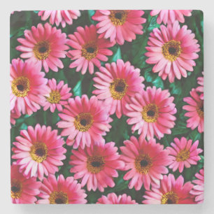 Porta-copo De Pedra Gerbera Daisy Stone Porta copos