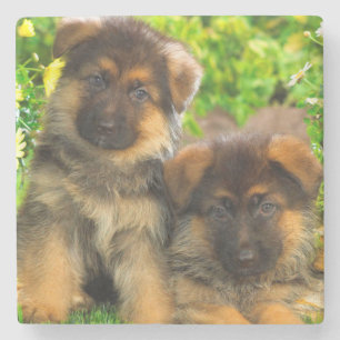 Porta-copo De Pedra German shepherd