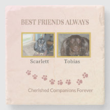 Golden Pawprints Friendship Tribute
