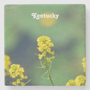 Porta-copo De Pedra Goldenrod de Kentucky