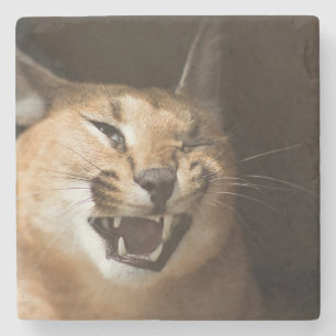 Porta-copo De Pedra Goofy Lynx