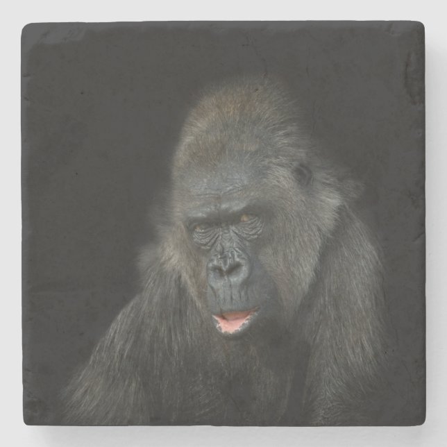 Porta-copo De Pedra Gorilla Biddy (Frente)
